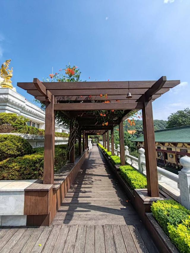 东林寺旅行图片 1