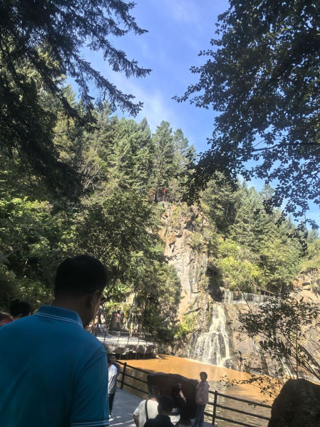 茅兰沟国家森林公园(暂停开放)旅行图片 1
