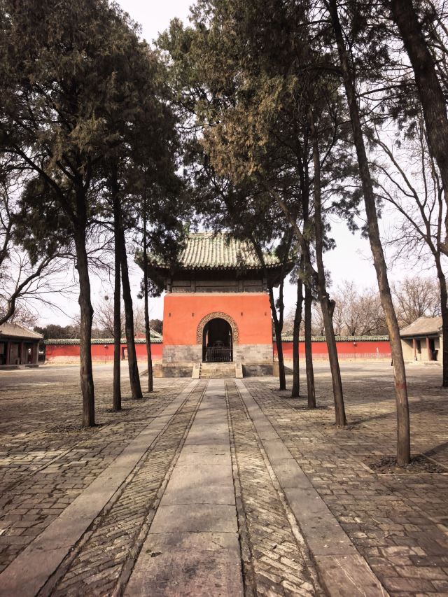 袁林旅行图片 3