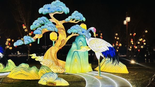 金平湖灯秀旅行图片 2