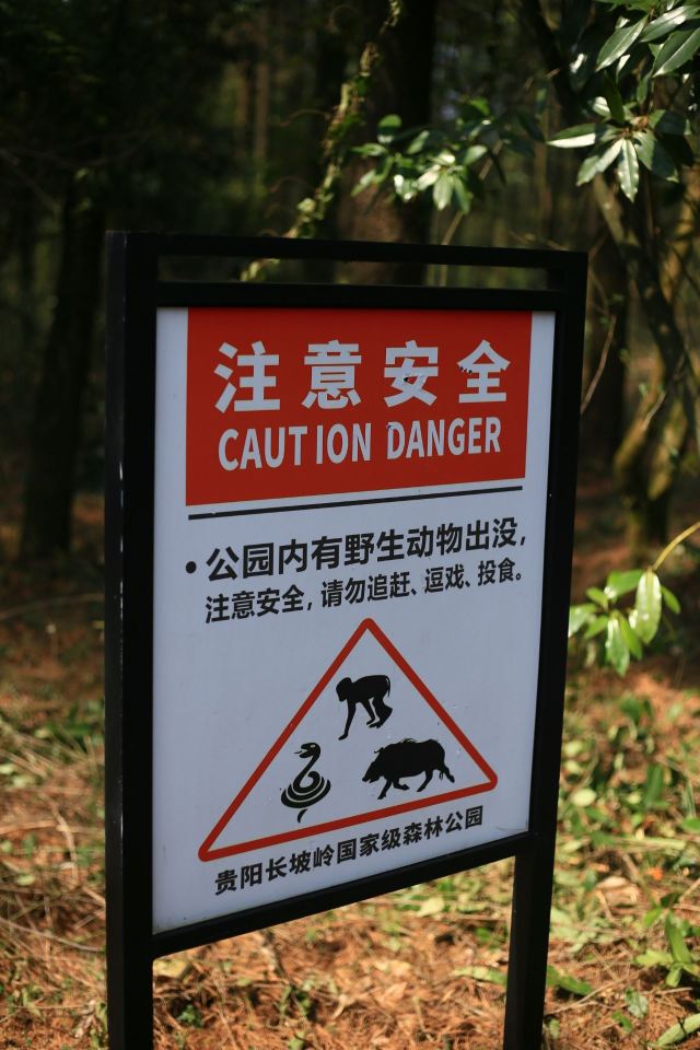 长坡岭国家森林公园旅行图片 5