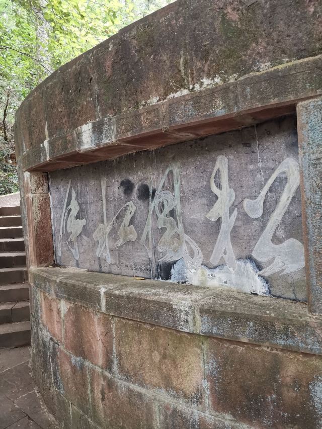 凤山森林主题公园旅行图片 1