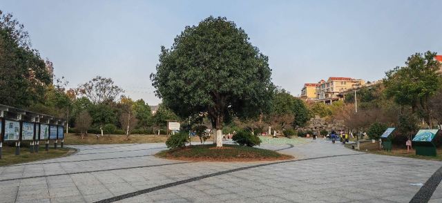 苏仙湖公园旅行图片 4