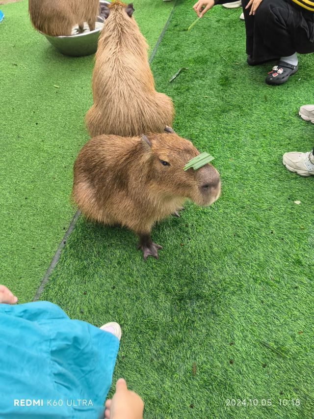 福州动物园旅行图片 2