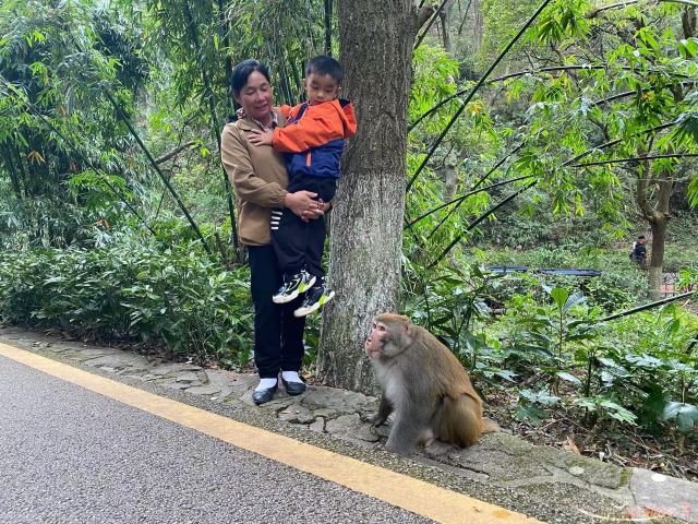 黔灵山公园旅行图片 7