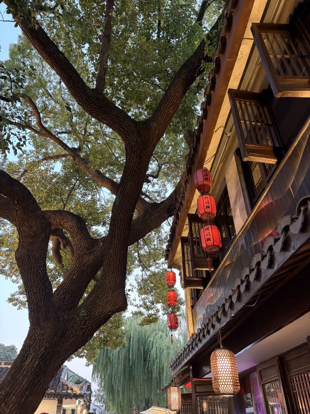 平江路旅行图片 7