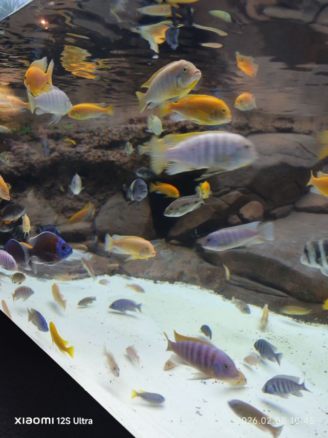 上海海洋水族馆旅行图片 2