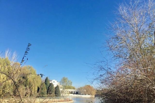 朝阳公园旅行图片 1
