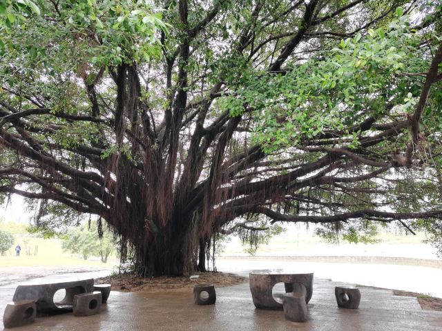 木兰陂公园旅行图片 1