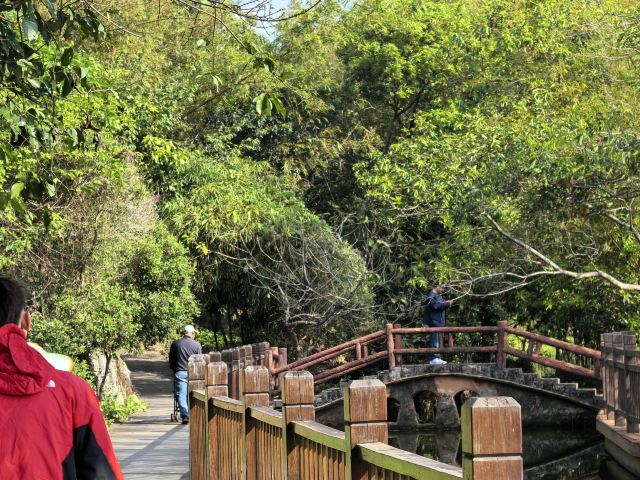 大屏嶂森林公园旅行图片 1