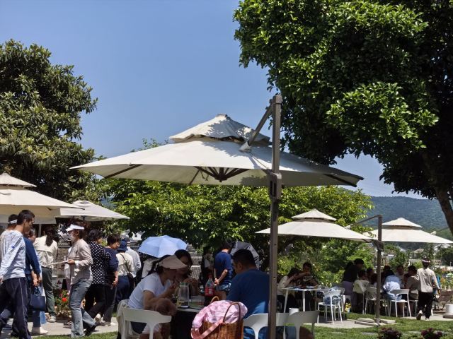 佘村明清代建筑群旅行图片 6