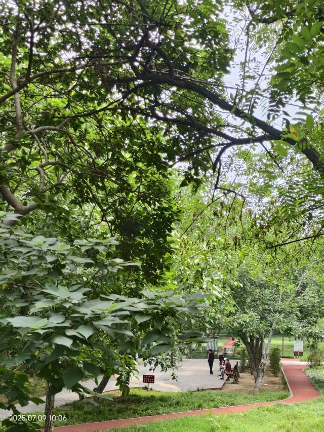老山城市休闲公园旅行图片 11