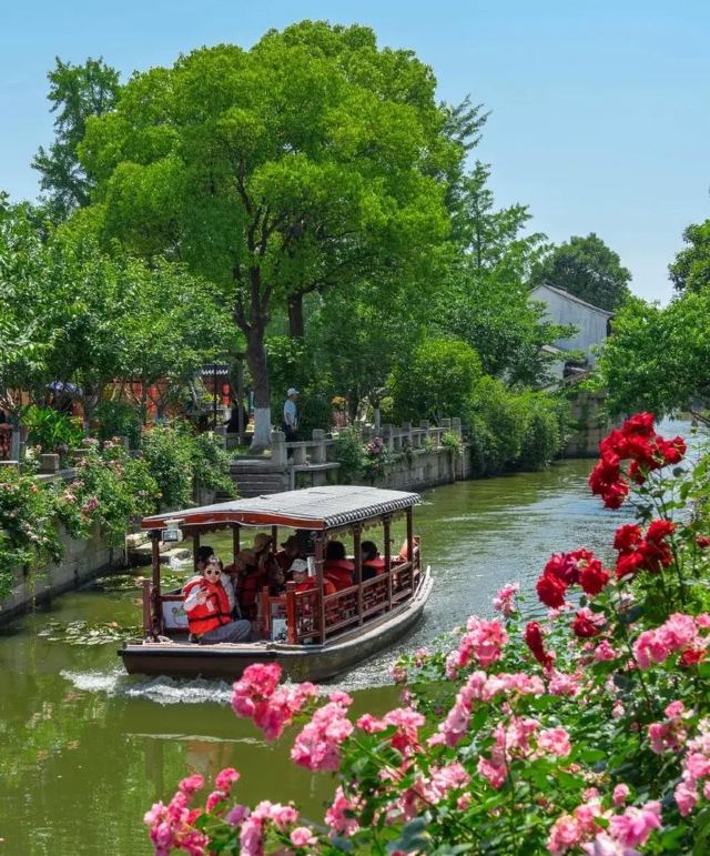 荡口古镇旅行图片 1