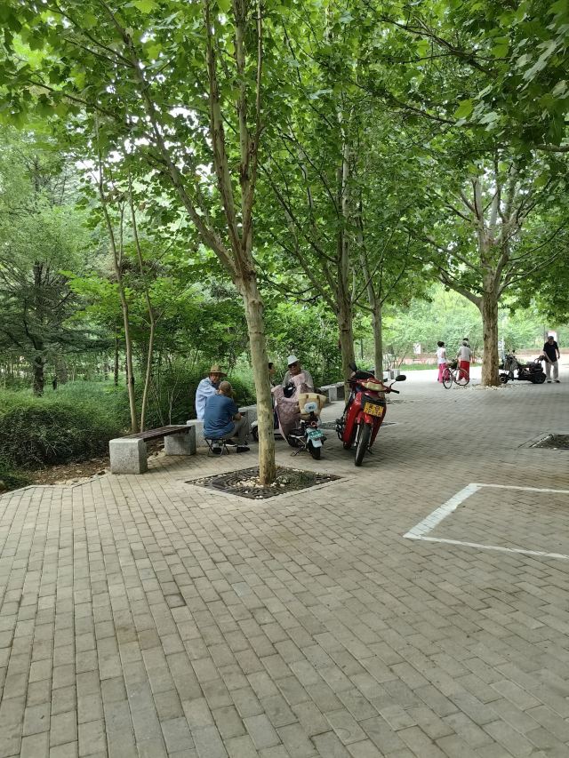 凤凰山公园旅行图片 9