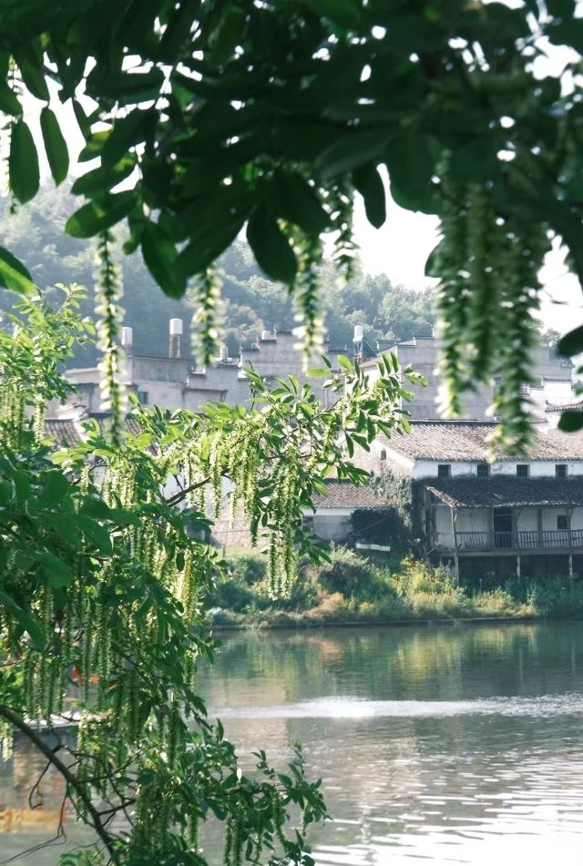 东埠村·板凳桥旅行图片 2