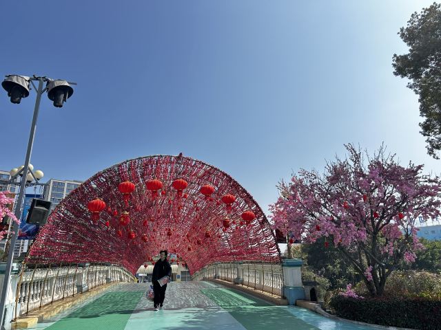 温州乐园旅行图片 2