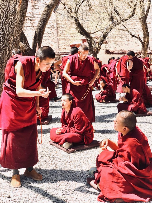 色拉寺旅行图片 8