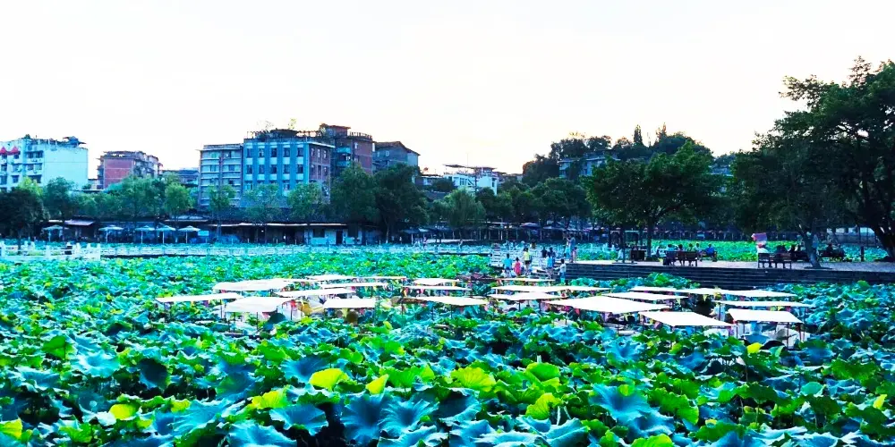 永安旅遊