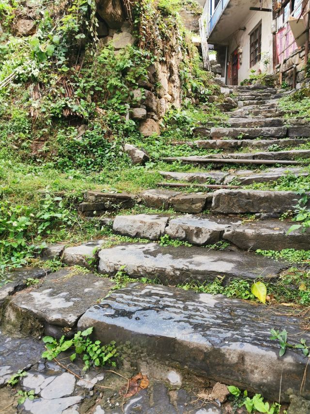 大圩古镇旅行图片 2