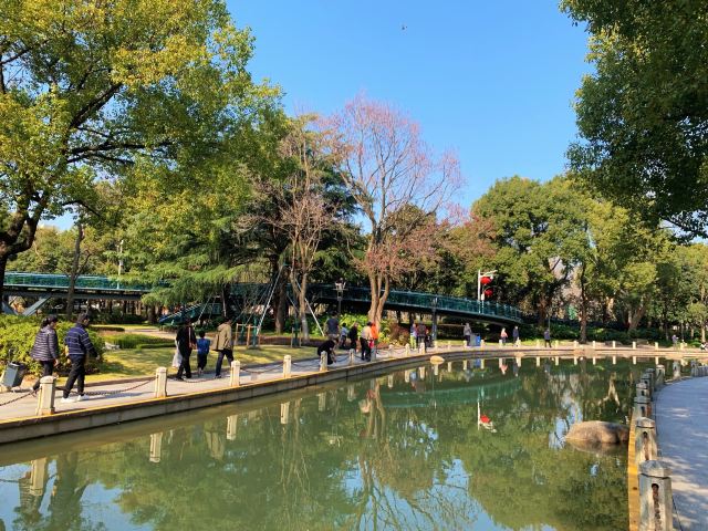 徐家汇公园旅行图片 1