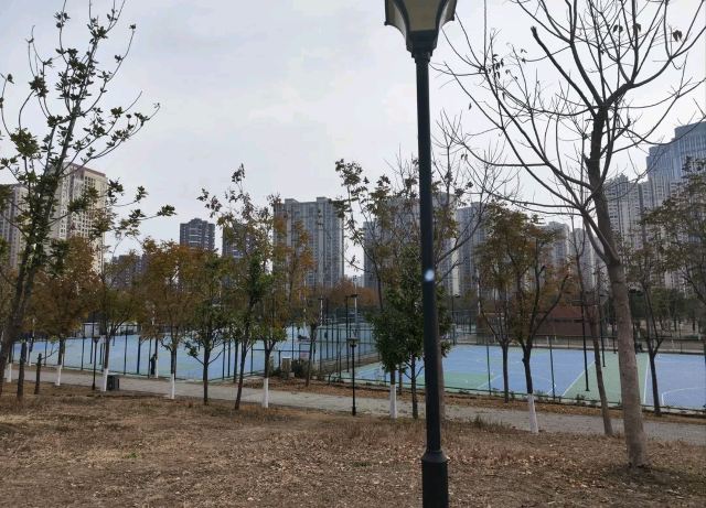 后湖公园旅行图片 2