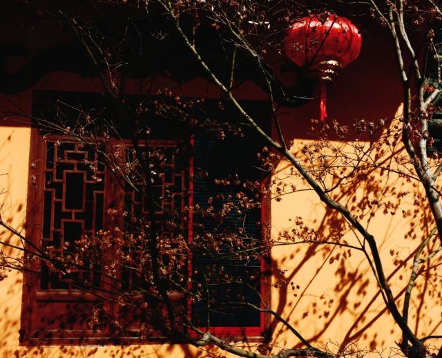 湖州铁佛寺旅行图片 6