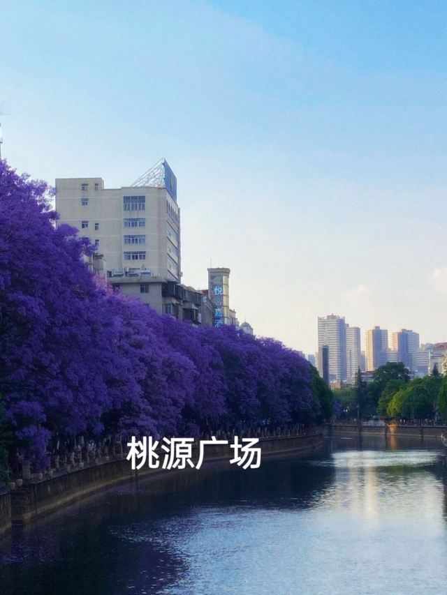 桃源广场旅行图片 5