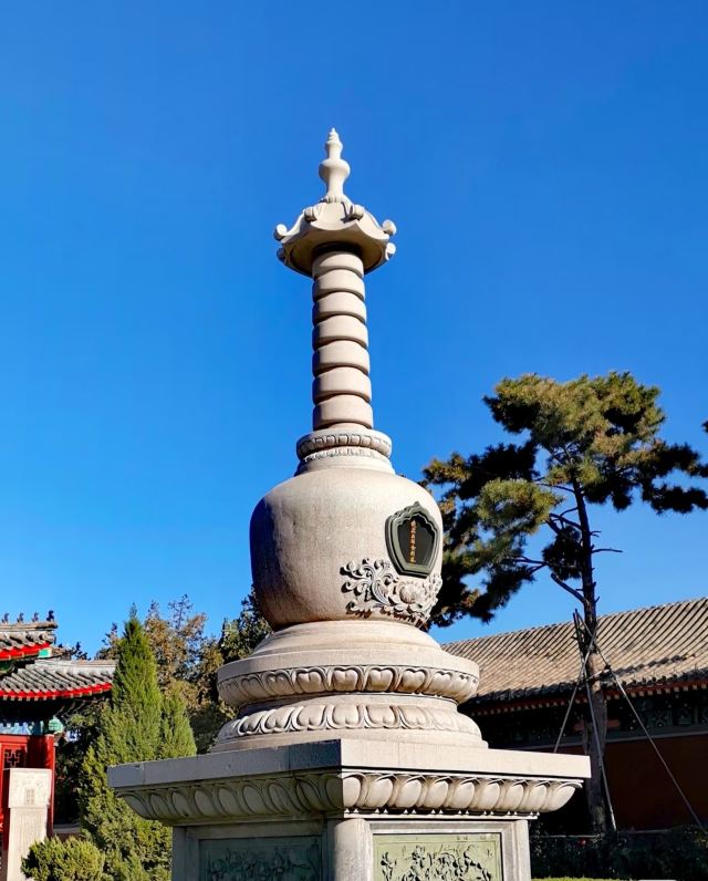 大悲禅院旅行图片 3