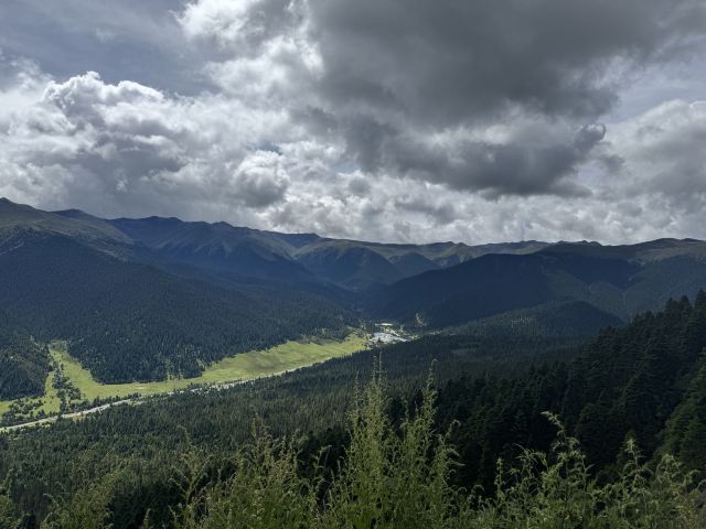 鲁朗林海风景区旅行图片 7