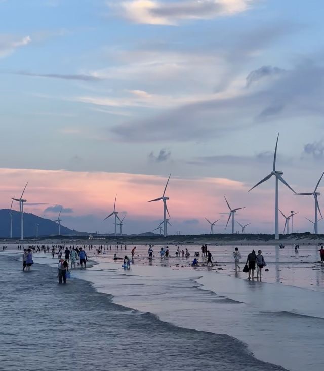 蓝眼泪观景点(长江澳海滩)旅行图片 6