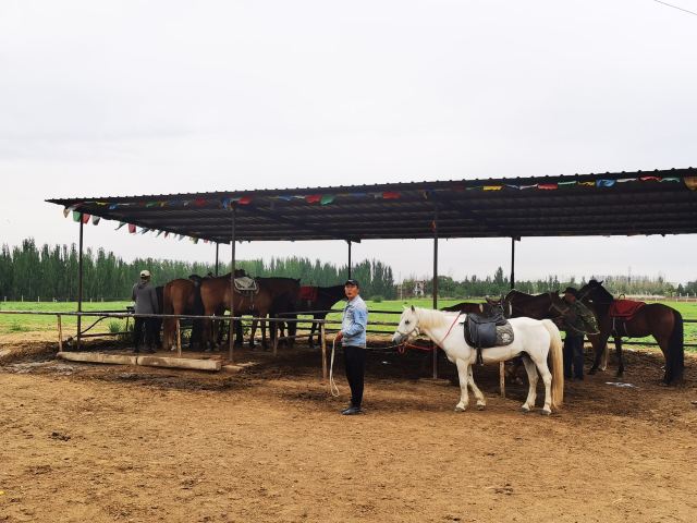 赛汗塔拉城中草原旅行图片 4