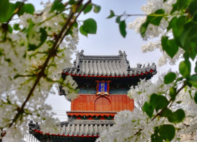 智化寺旅行图片 13