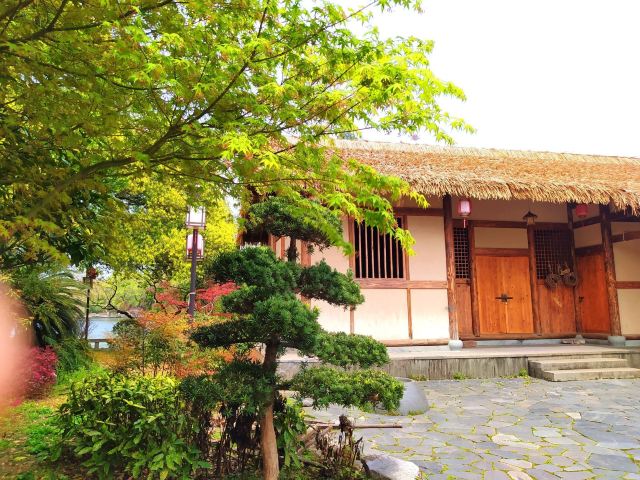 八一公园旅行图片 5