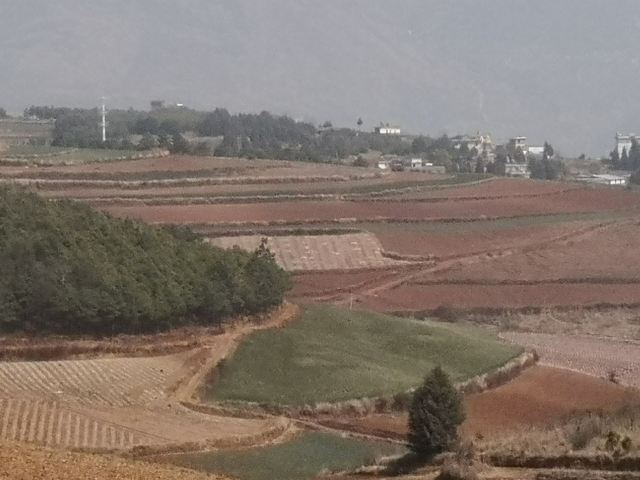 乐谱凹旅行图片 1