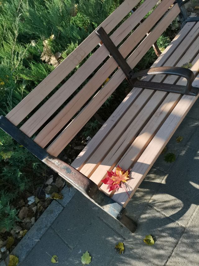 西局玉璞园旅行图片 2
