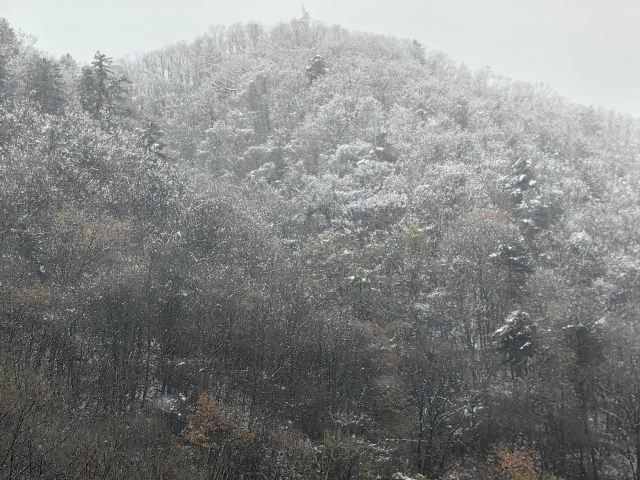 秦岭风景区旅行图片 8