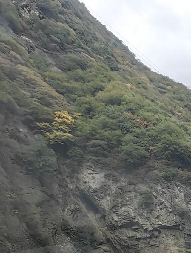 秦岭风景区旅行图片 2