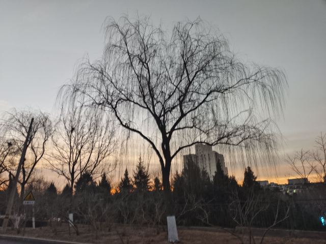 老山城市休闲公园旅行图片 7