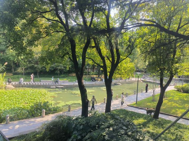 徐家汇公园旅行图片 4