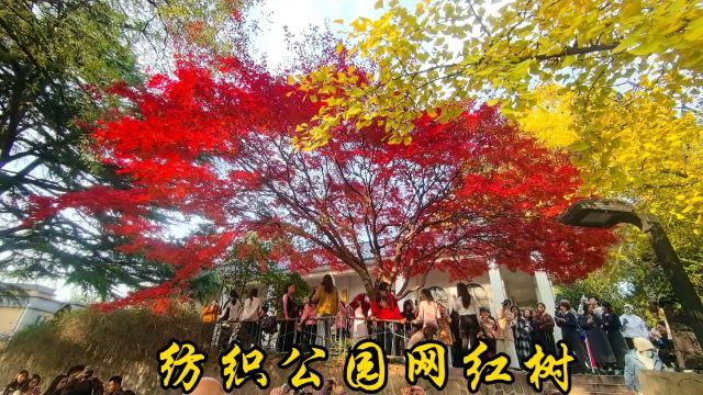 西安市纺织公园旅行图片 3