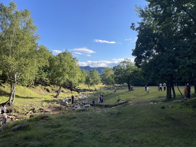 飞泷金山鹿苑旅行图片 3