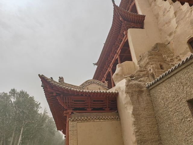莫高窟景区旅行图片 3