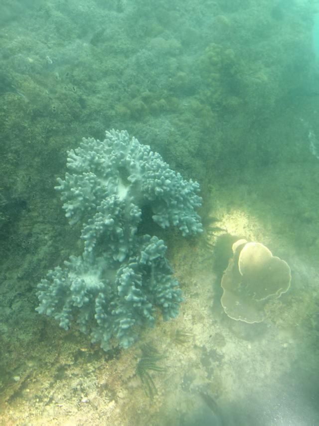 大东海旅游区旅行图片 5