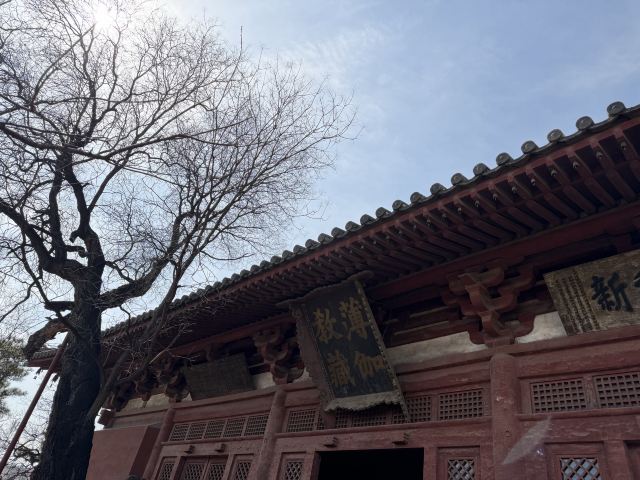 华严寺旅行图片 1