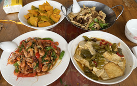 岳西山林土鸡农家乐