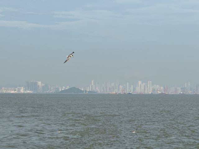 海上彩虹号旅行图片 1