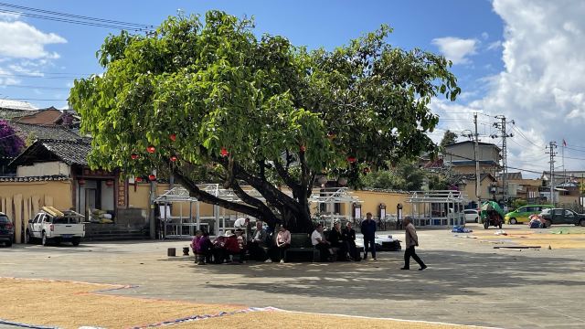 司莫拉佤族村-游览车乘坐区旅行图片 9
