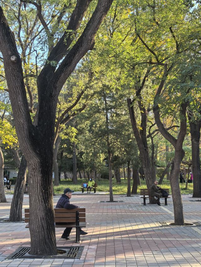 北京东单公园游玩攻略简介,北京东单公园门票/地址/图片/开放时间/照片/门票价格【携程攻略】