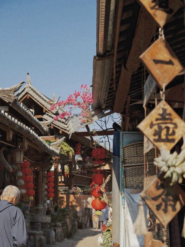 普洱古镇荷园旅行图片 2