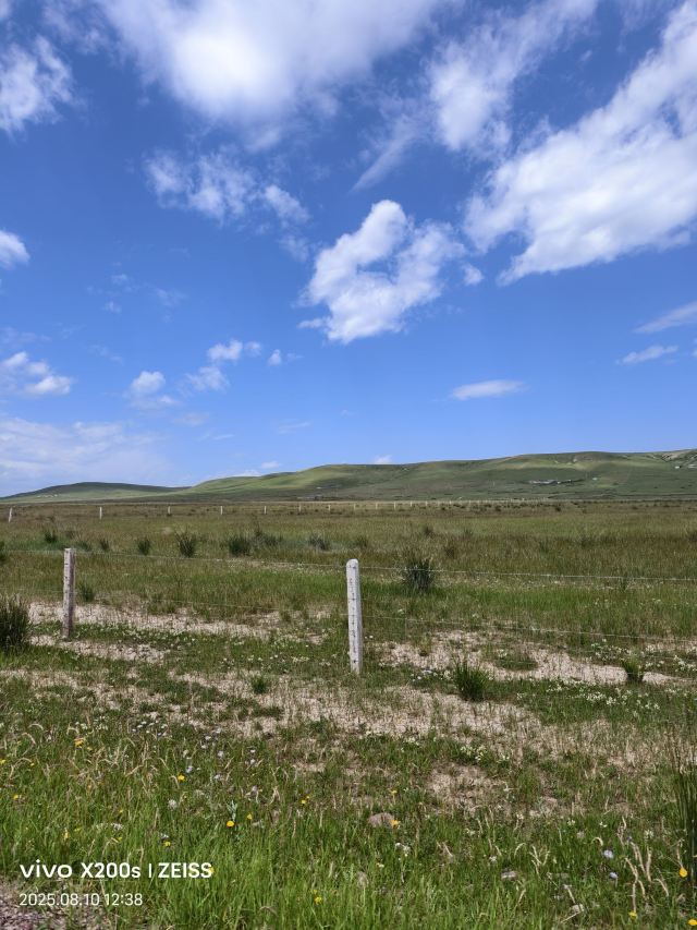 山丹皇家马场景区(暂停开放)旅行图片 4